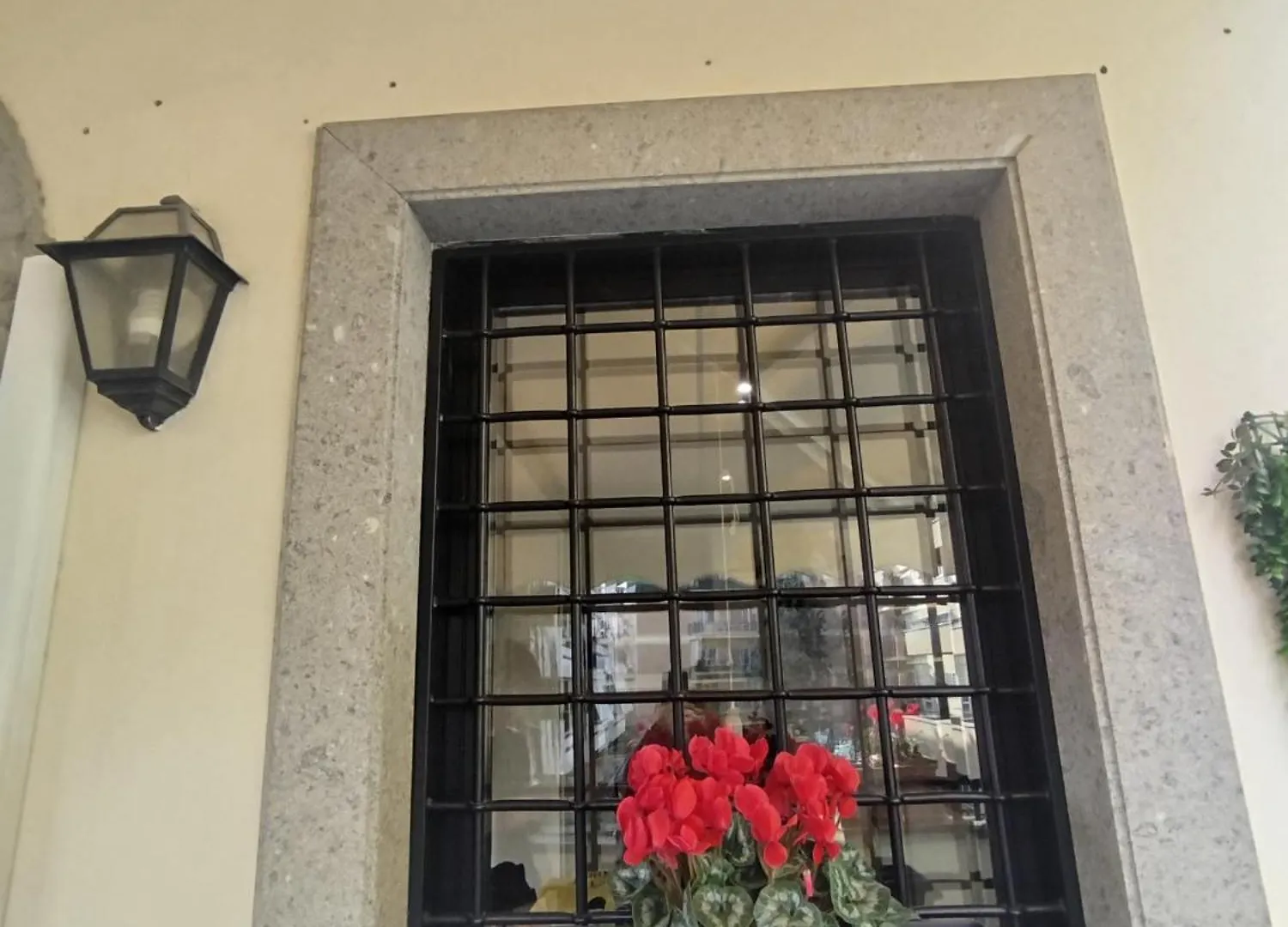 רומא Gemelli Flower'S House 0*,  איטליה