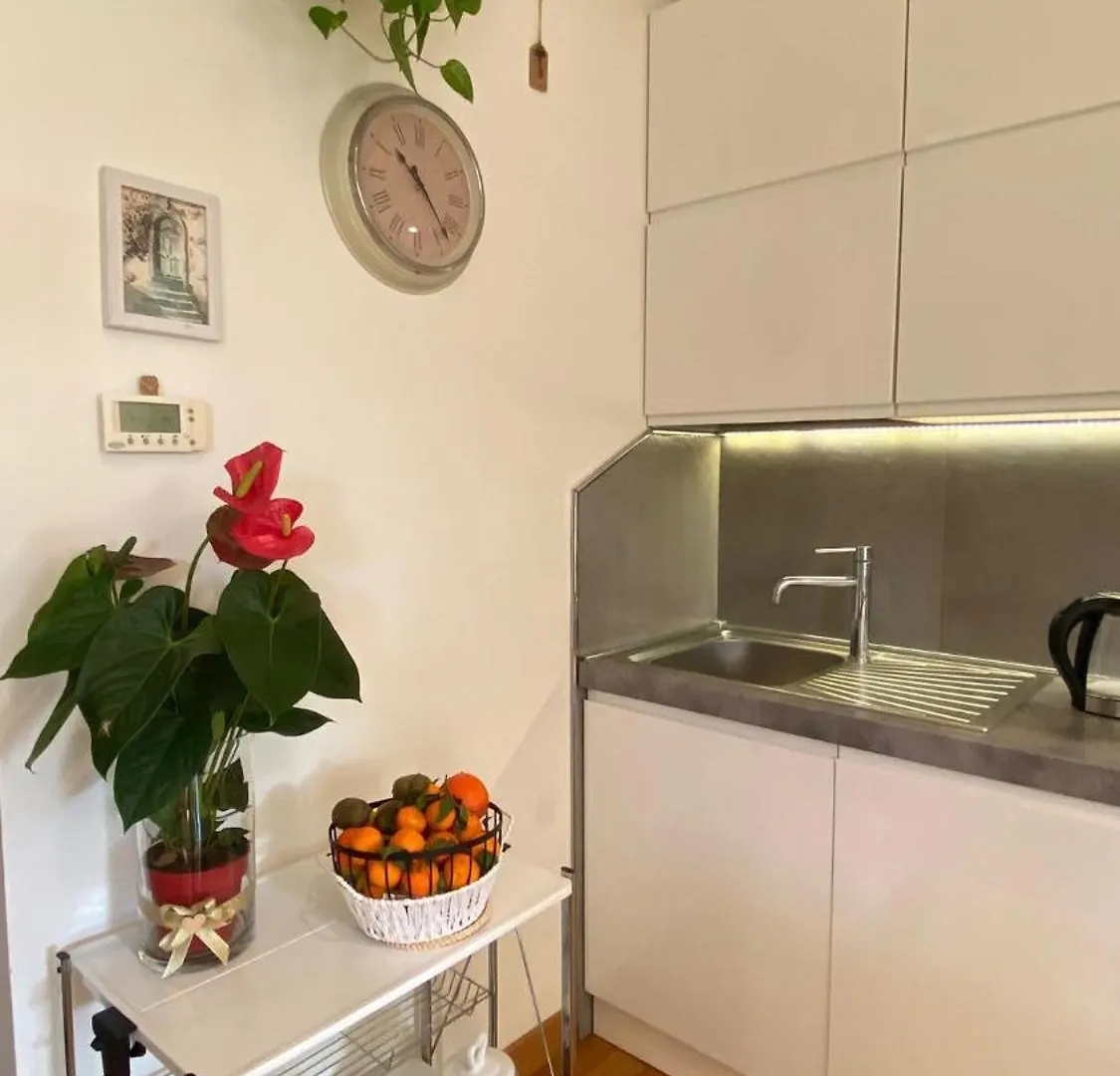 Gemelli Flower'S House Rome